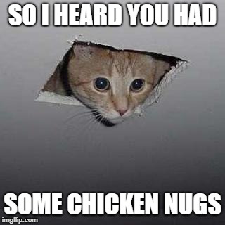 Ceiling Cat | SO I HEARD YOU HAD; SOME CHICKEN NUGS | image tagged in memes,ceiling cat | made w/ Imgflip meme maker