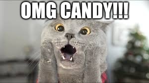 OMG CANDY | OMG CANDY!!! | image tagged in funny,candy,cats | made w/ Imgflip meme maker