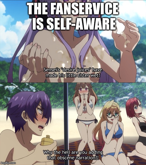 THE FANSERVICE IS SELF-AWARE | made w/ Imgflip meme maker