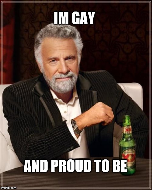 The Most Interesting Man In The World Meme | IM GAY; AND PROUD TO BE | image tagged in memes,the most interesting man in the world | made w/ Imgflip meme maker