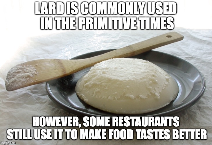 Lard | LARD IS COMMONLY USED IN THE PRIMITIVE TIMES; HOWEVER, SOME RESTAURANTS STILL USE IT TO MAKE FOOD TASTES BETTER | image tagged in lard,memes | made w/ Imgflip meme maker