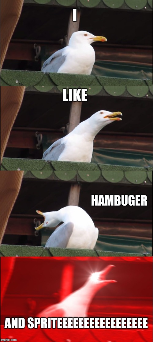 Inhaling Seagull Meme | I; LIKE; HAMBUGER; AND SPRITEEEEEEEEEEEEEEEEE | image tagged in memes,inhaling seagull | made w/ Imgflip meme maker