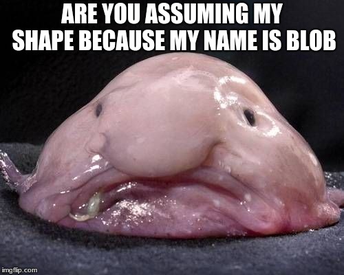 Blob Fish | ARE YOU ASSUMING MY SHAPE BECAUSE MY NAME IS BLOB | image tagged in blob fish | made w/ Imgflip meme maker