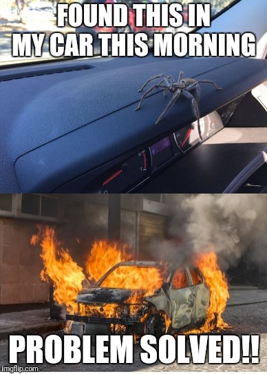 Not today, satan!! | FOUND THIS IN MY CAR THIS MORNING; PROBLEM SOLVED!! | image tagged in spider,car | made w/ Imgflip meme maker