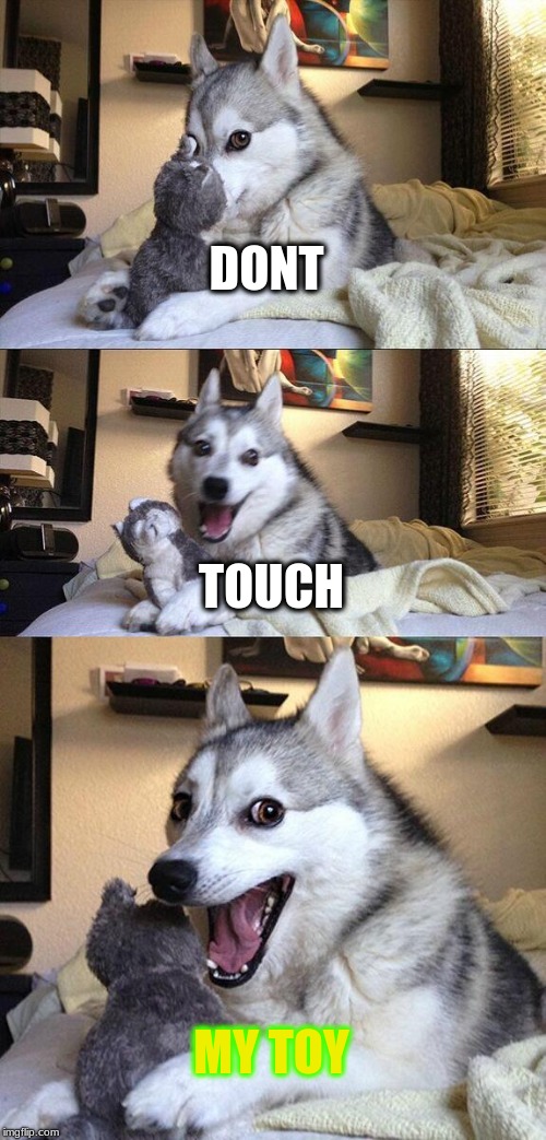 Bad Pun Dog | DONT; TOUCH; MY TOY | image tagged in memes,bad pun dog | made w/ Imgflip meme maker