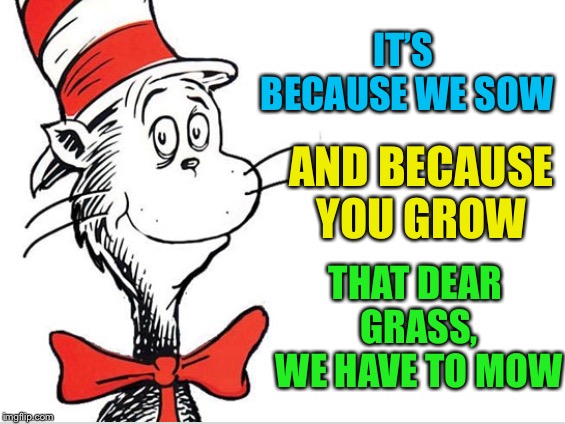 IT’S BECAUSE WE SOW THAT DEAR GRASS, WE HAVE TO MOW AND BECAUSE YOU GROW | made w/ Imgflip meme maker