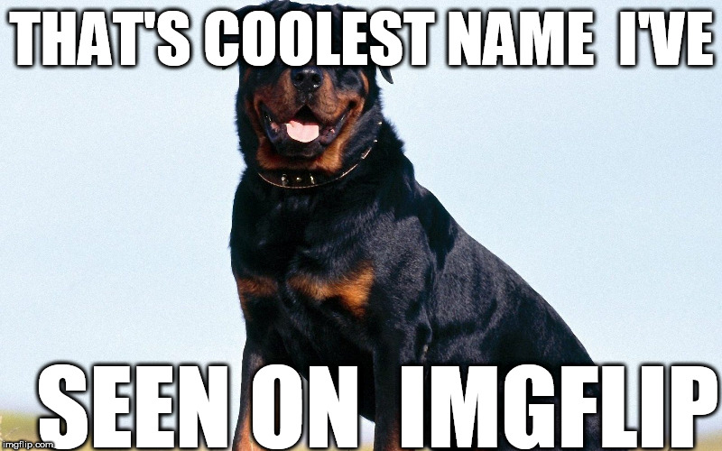 THAT'S COOLEST NAME  I'VE SEEN ON  IMGFLIP | made w/ Imgflip meme maker