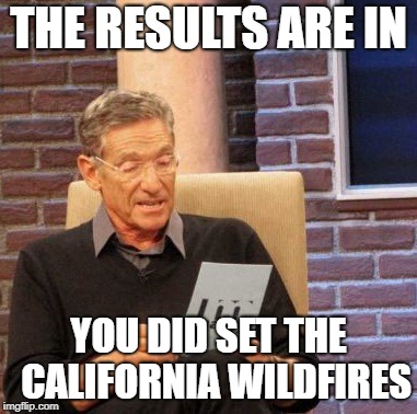 Maury Lie Detector | THE RESULTS ARE IN; YOU DID SET THE 
CALIFORNIA WILDFIRES | image tagged in memes,maury lie detector | made w/ Imgflip meme maker