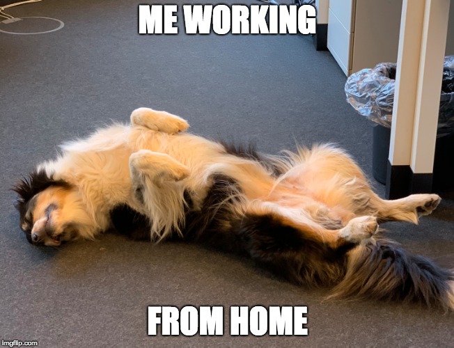 ME WORKING; FROM HOME | made w/ Imgflip meme maker