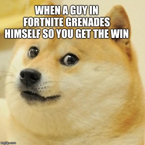 Doge | WHEN A GUY IN FORTNITE GRENADES HIMSELF SO YOU GET THE WIN | image tagged in memes,doge | made w/ Imgflip meme maker