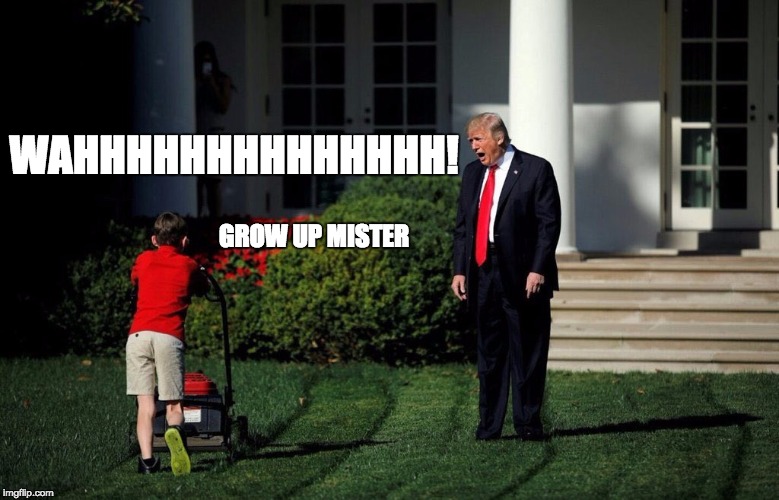 Introducing "Crying Don" | WAHHHHHHHHHHHHHH! GROW UP MISTER | image tagged in shouty trump,memes,crying don,trump yells at lawnmower kid | made w/ Imgflip meme maker