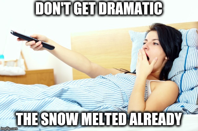 Boooriiing | DON'T GET DRAMATIC THE SNOW MELTED ALREADY | image tagged in boooriiing | made w/ Imgflip meme maker