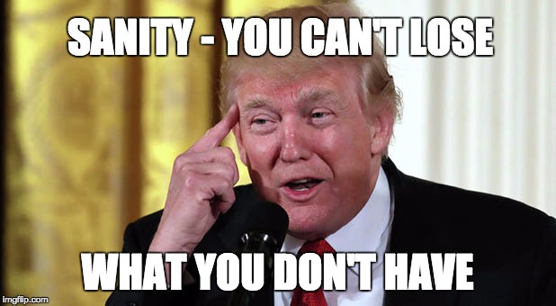 why are people acting so surprised? the grifter in chief is "finally" losing it | SANITY - YOU CAN'T LOSE; WHAT YOU DON'T HAVE | image tagged in trump stable genius,memes,insane clown pressee,trump | made w/ Imgflip meme maker