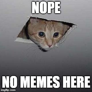cat searching for memes |  NOPE; NO MEMES HERE | image tagged in memes,ceiling cat | made w/ Imgflip meme maker
