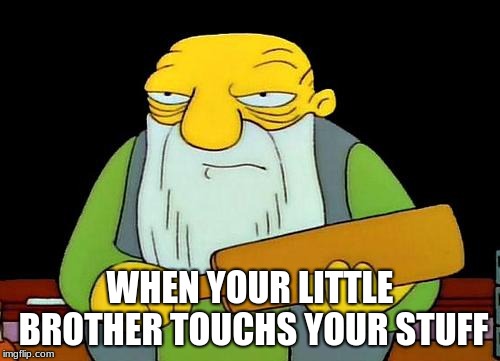 That's a paddlin' | WHEN YOUR LITTLE BROTHER TOUCHS YOUR STUFF | image tagged in memes,that's a paddlin' | made w/ Imgflip meme maker