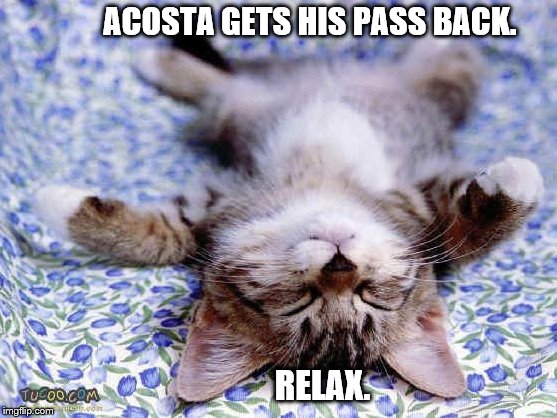 UpsideDwon Sleeping Cat | ACOSTA GETS HIS PASS BACK. RELAX. | image tagged in upsidedwon sleeping cat | made w/ Imgflip meme maker