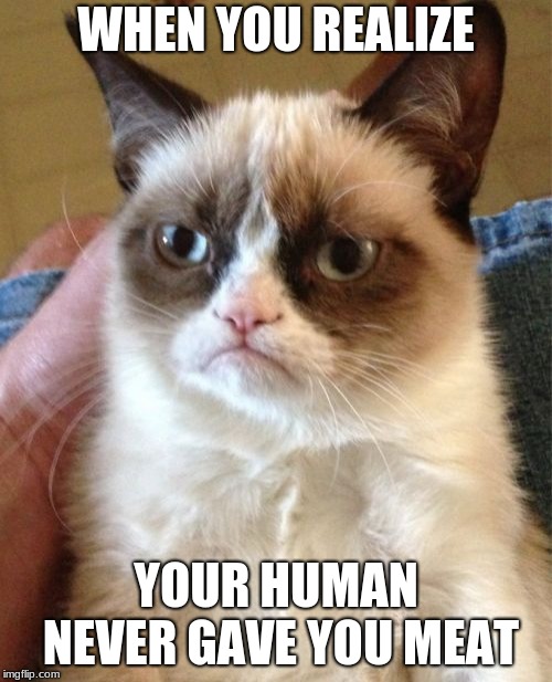 Grumpy Cat | WHEN YOU REALIZE; YOUR HUMAN NEVER GAVE YOU MEAT | image tagged in memes,grumpy cat | made w/ Imgflip meme maker
