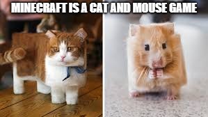 minecraft | MINECRAFT IS A CAT AND MOUSE GAME | image tagged in cat,mouse | made w/ Imgflip meme maker