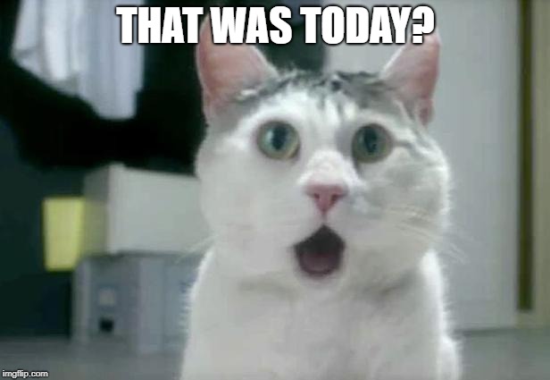 OMG Cat Meme | THAT WAS TODAY? | image tagged in memes,omg cat | made w/ Imgflip meme maker