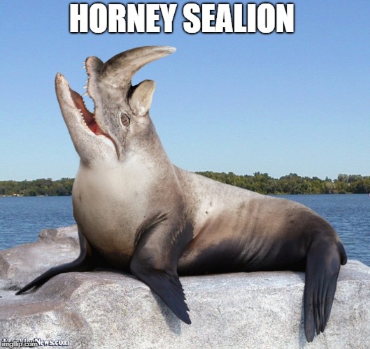 horney sea lion  | HORNEY SEALION | image tagged in sealion,horney | made w/ Imgflip meme maker