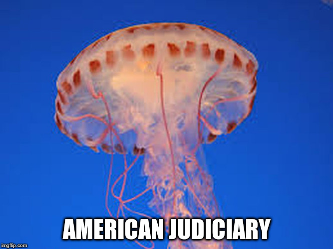 Spineless | AMERICAN JUDICIARY | image tagged in jellyfish | made w/ Imgflip meme maker