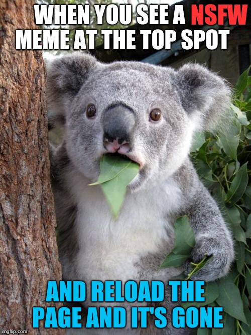 I Think the NSFW Curse has Been Broken! | NSFW; WHEN YOU SEE A      MEME AT THE TOP SPOT; AND RELOAD THE PAGE AND IT'S GONE | image tagged in memes,surprised koala,nsfw,funny,animals | made w/ Imgflip meme maker