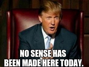 Donald Trump | NO SENSE HAS BEEN MADE HERE TODAY. | image tagged in donald trump | made w/ Imgflip meme maker