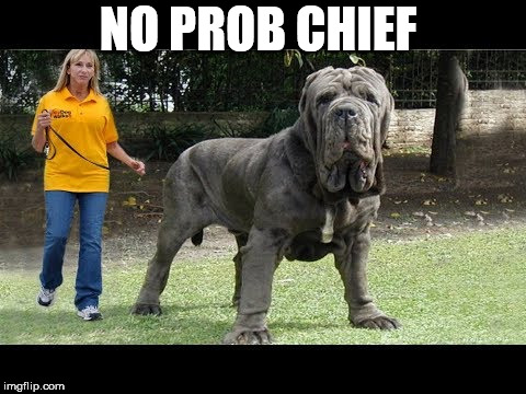 That man's first name IS SIR! | NO PROB CHIEF | image tagged in big dog,monster dog,huge dog | made w/ Imgflip meme maker