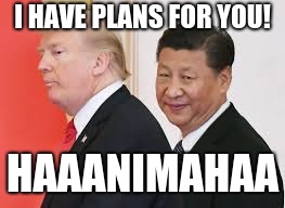 COVFEFE!!!!!!!!!!!!!!!!!!!!!!!!!!!!!!!!!!!!!!!!!!!!!!!!!!!!!!!!!!!!!!!!!!!!!!!!!!!!!!!!!!!!!!!!!!!!!!!!!!!!!!!!!!!!!!!!!! | I HAVE PLANS FOR YOU! HAAANIMAHAA | image tagged in donald trump | made w/ Imgflip meme maker