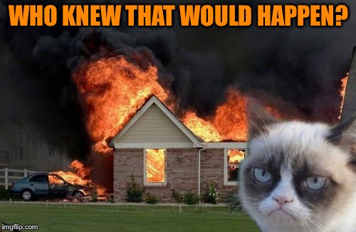 Burn Kitty Meme | WHO KNEW THAT WOULD HAPPEN? | image tagged in memes,burn kitty,grumpy cat | made w/ Imgflip meme maker