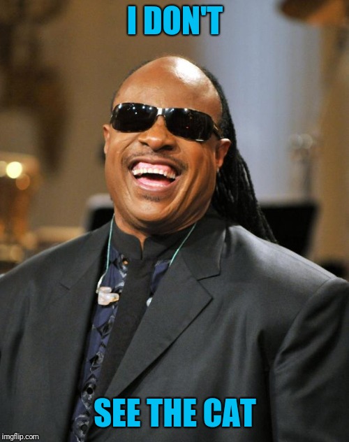 Stevie Wonder | I DON'T SEE THE CAT | image tagged in stevie wonder | made w/ Imgflip meme maker
