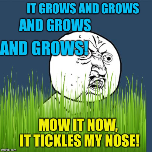 IT GROWS AND GROWS MOW IT NOW, IT TICKLES MY NOSE! AND GROWS AND GROWS! | made w/ Imgflip meme maker