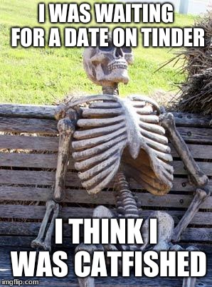 Waiting Skeleton | I WAS WAITING FOR A DATE ON TINDER; I THINK I WAS CATFISHED | image tagged in memes,waiting skeleton | made w/ Imgflip meme maker