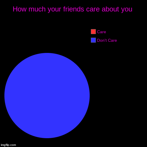 How much your friends care about you | Don't Care, Care | image tagged in funny,pie charts | made w/ Imgflip chart maker