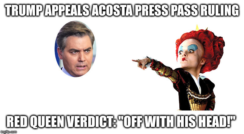 Trump Appeals Acosta Press Pass Ruling | image tagged in jim acosta,trump,white house,press pass,down the rabbit hole | made w/ Imgflip meme maker