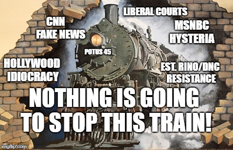 Non-Stop Trump Train | LIBERAL COURTS; CNN 
                FAKE NEWS; MSNBC      
HYSTERIA; POTUS 45; HOLLYWOOD IDIOCRACY; EST. RINO/DNC RESISTANCE; NOTHING IS GOING TO STOP THIS TRAIN! | image tagged in trump train,trump winning,re-elect,maga,deplorables | made w/ Imgflip meme maker