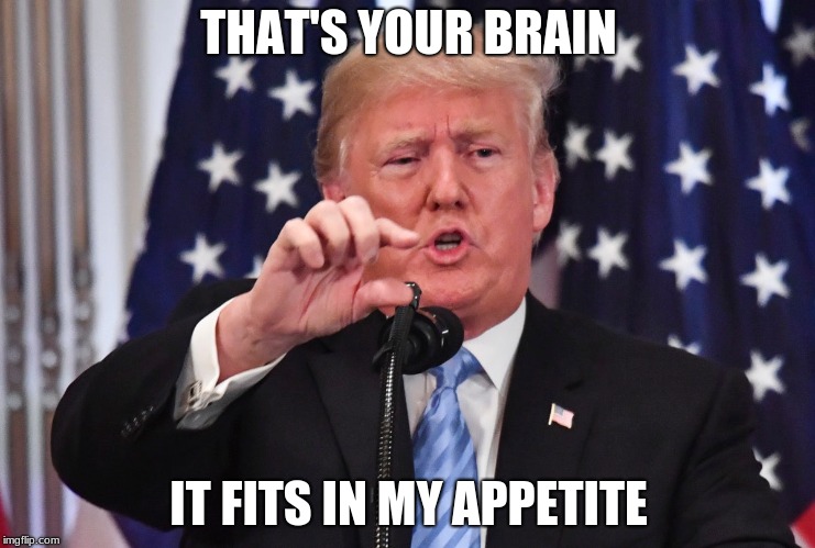 true reality facts describe reality facts to reality. | THAT'S YOUR BRAIN; IT FITS IN MY APPETITE | image tagged in just for fun | made w/ Imgflip meme maker