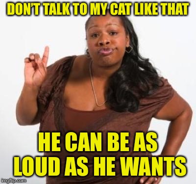 sassy black woman | DON’T TALK TO MY CAT LIKE THAT HE CAN BE AS LOUD AS HE WANTS | image tagged in sassy black woman | made w/ Imgflip meme maker