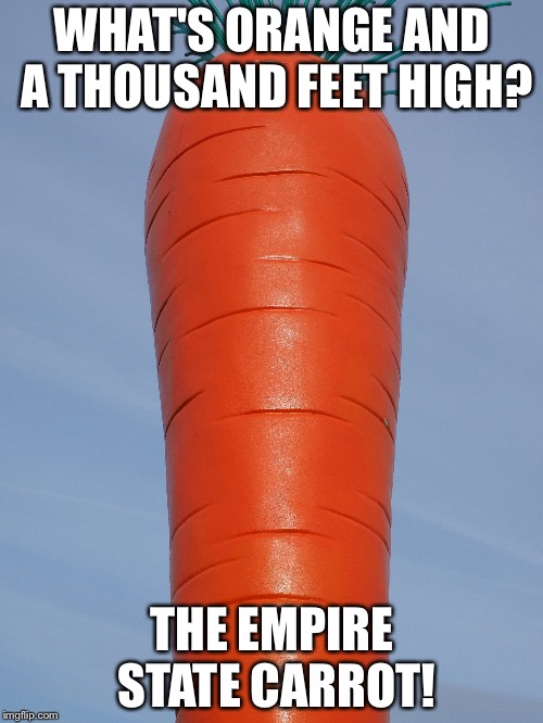 Vegetable joke | WHAT'S ORANGE AND A THOUSAND FEET HIGH? THE EMPIRE STATE CARROT! | image tagged in carrot | made w/ Imgflip meme maker