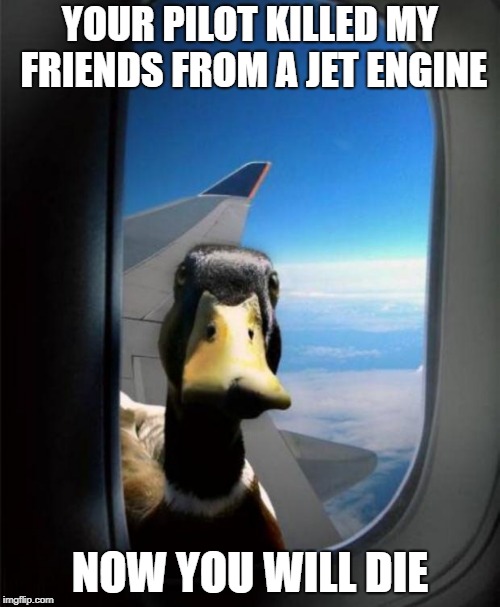 Duck on plane wing | YOUR PILOT KILLED MY FRIENDS FROM A JET ENGINE; NOW YOU WILL DIE | image tagged in duck on plane wing | made w/ Imgflip meme maker