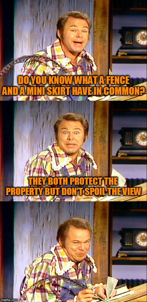 Roy Clark Puns. R.I.P | DO YOU KNOW WHAT A FENCE AND A MINI SKIRT HAVE IN COMMON? THEY BOTH PROTECT THE PROPERTY BUT DON'T SPOIL THE VIEW | image tagged in roy clark puns,roy clark,hee-haw,jokes,cornfield jokes,memes | made w/ Imgflip meme maker