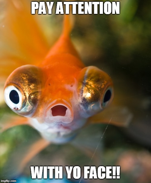 PAY ATTENTION; WITH YO FACE!! | made w/ Imgflip meme maker