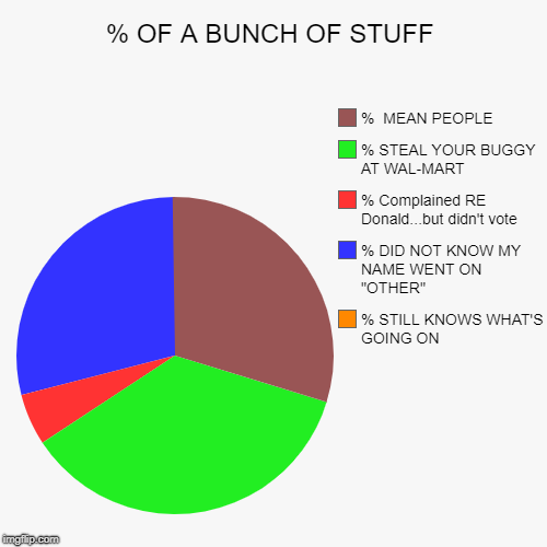 % OF A BUNCH OF STUFF | % STILL KNOWS WHAT'S GOING ON, % DID NOT KNOW MY NAME WENT ON "OTHER", % Complained RE Donald...but didn't vote, % S | image tagged in funny,pie charts | made w/ Imgflip chart maker