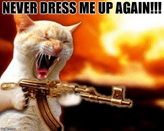 machine gun cat | NEVER DRESS ME UP AGAIN!!! | image tagged in machine gun cat | made w/ Imgflip meme maker