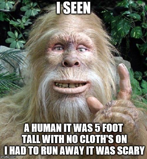 I seen | I SEEN; A HUMAN IT WAS 5 FOOT TALL WITH NO CLOTH'S ON I HAD TO RUN AWAY IT WAS SCARY | image tagged in funny | made w/ Imgflip meme maker