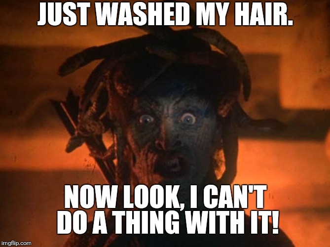 medusa | JUST WASHED MY HAIR. NOW LOOK, I CAN'T DO A THING WITH IT! | image tagged in medusa | made w/ Imgflip meme maker