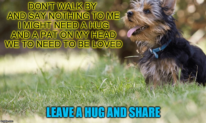 leave a hug | DON'T WALK BY AND SAY NOTHING TO ME I MIGHT NEED A HUG AND A PAT ON MY HEAD WE TO NEED TO BE LOVED; LEAVE A HUG AND SHARE | image tagged in pet,dog,facebook | made w/ Imgflip meme maker