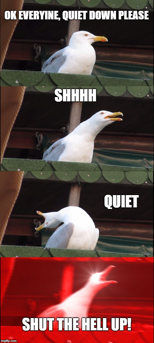 class life | OK EVERYINE, QUIET DOWN PLEASE; SHHHH; QUIET; SHUT THE HELL UP! | image tagged in memes,inhaling seagull | made w/ Imgflip meme maker