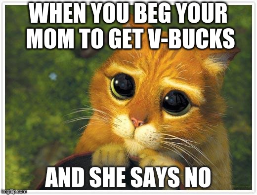 Shrek Cat | WHEN YOU BEG YOUR MOM TO GET V-BUCKS; AND SHE SAYS NO | image tagged in memes,shrek cat | made w/ Imgflip meme maker