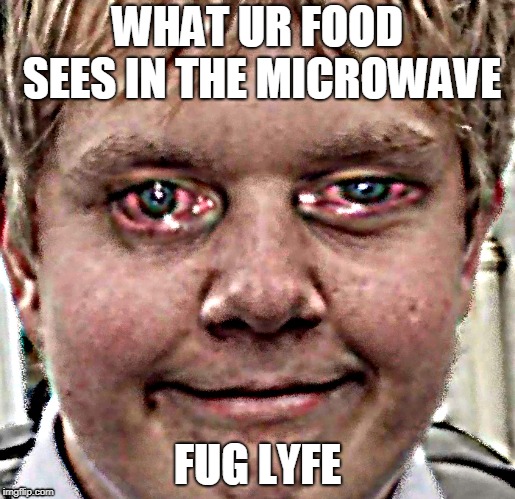 alex is funy | WHAT UR FOOD SEES IN THE MICROWAVE; FUG LYFE | image tagged in lol so funny,epic,mark zuckerberg syria refugee camps facebook down,thug life,microwave | made w/ Imgflip meme maker